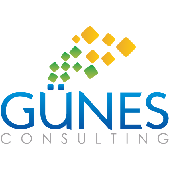 GÜNES CONSULTING